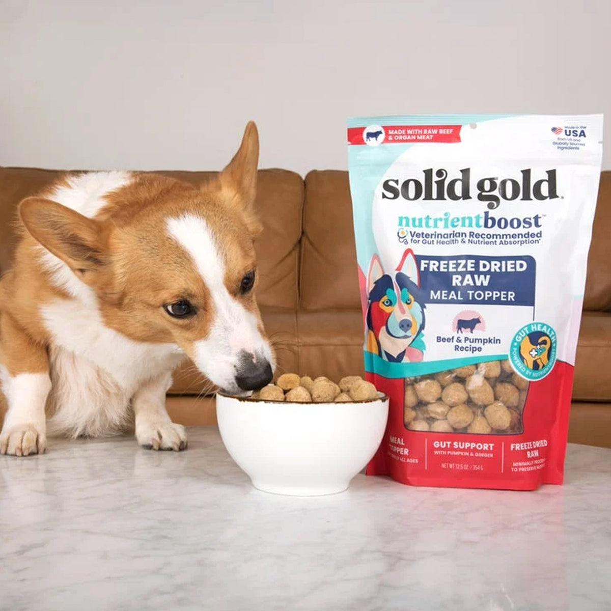 A corgi dog is eating from a white bowl next to a bag of Solid Gold NutrientBoost Freeze Dried Raw Meal Topper, Beef and Pumpkin Recipe, in a living room setting.
